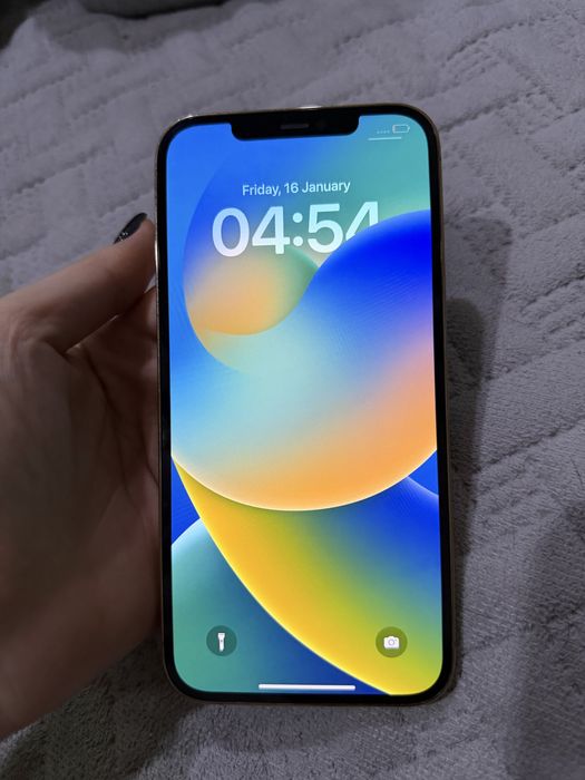 iphone 12 pro max 256 gb