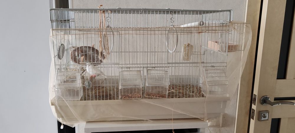 Продам амадинов с клеткой