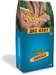 Семена кукурузы, люцерны, подсолнечника