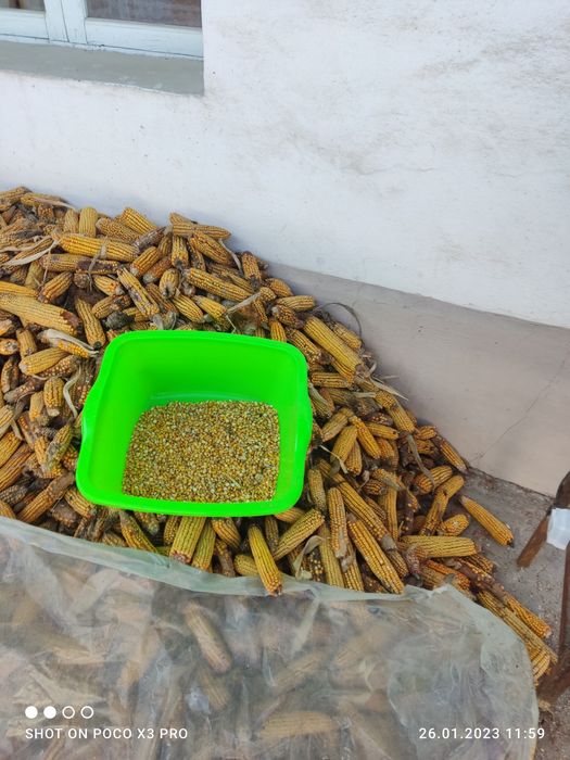 Маккажухори ситадиган апарат 220 вт да ишлиди