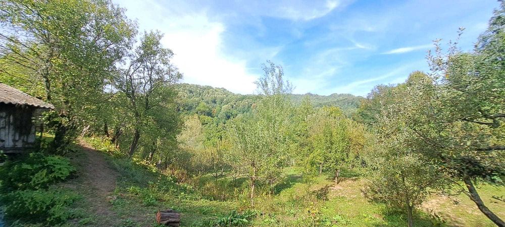 Teren si constructii situate in intravilan 7.780 mp, comuna Bertea, sat Lutu Rosu, Prahova