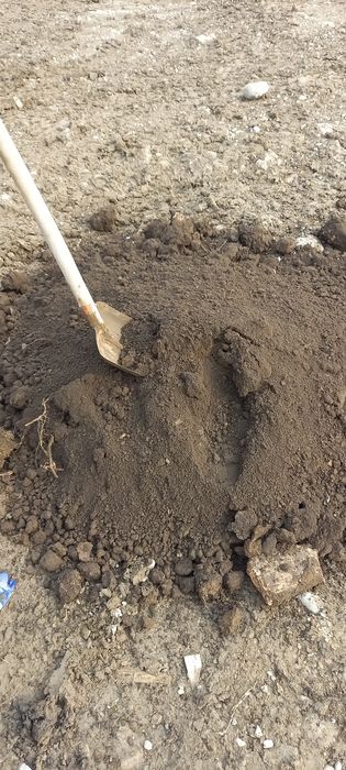 Чернозем горный.