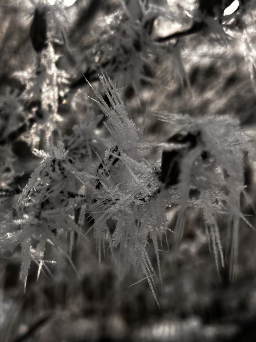 Freelance фотограф