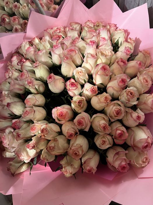 Цветы роза 101 свежие