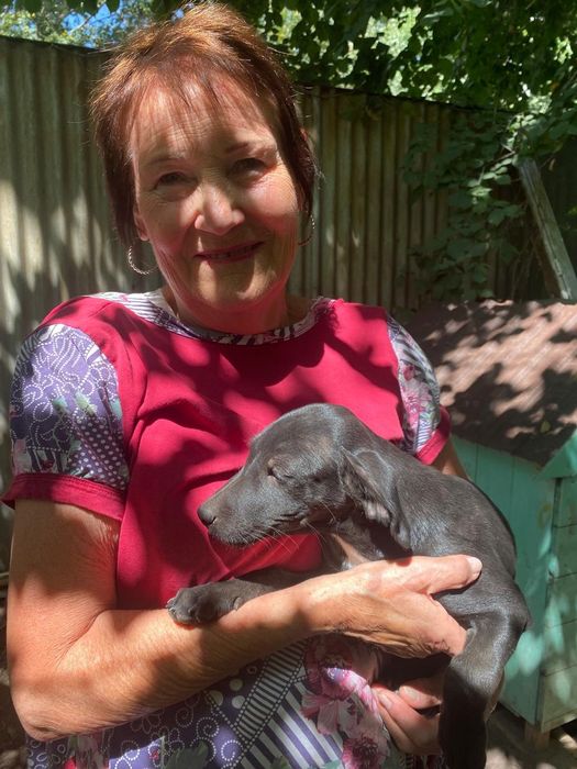 Замечательные щеночки