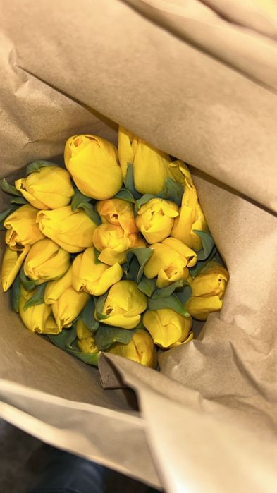 Тюлпаны оптом и в розницу