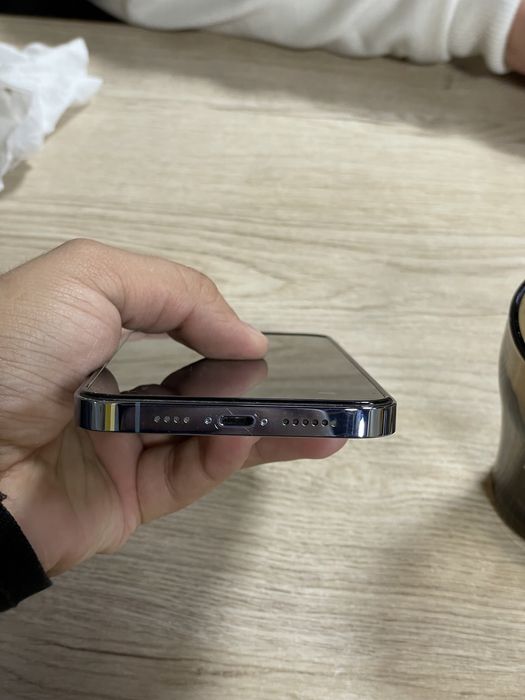 Iphone 13 Pro Max 256 Gb