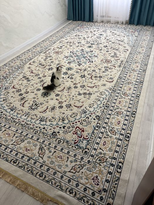 Клем палас…………….