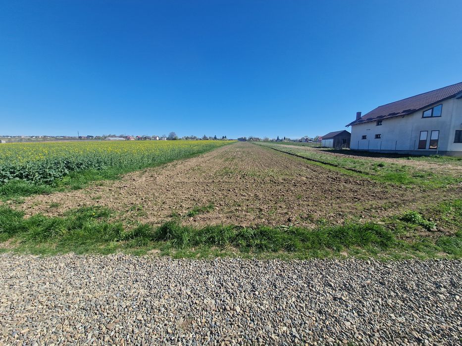 Teren intravilan Salcea, Suceava