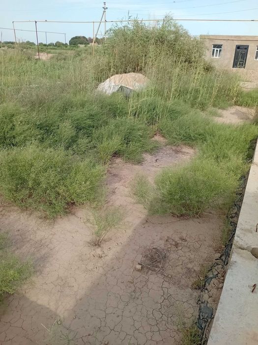 Урганч туман Туркманликда МФЙ дан Жой ўрни