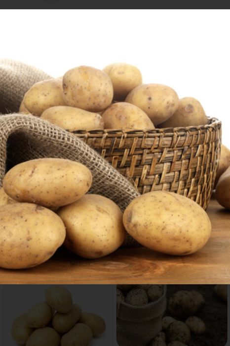 Продам картофель