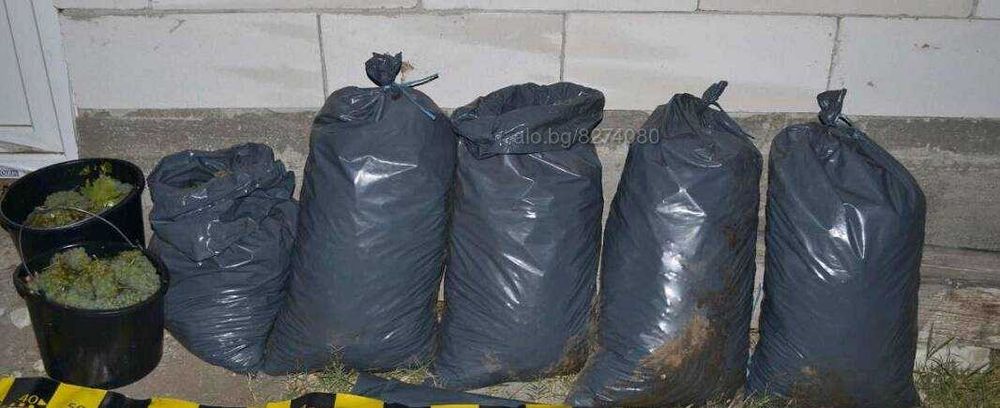 Чували за  грозде