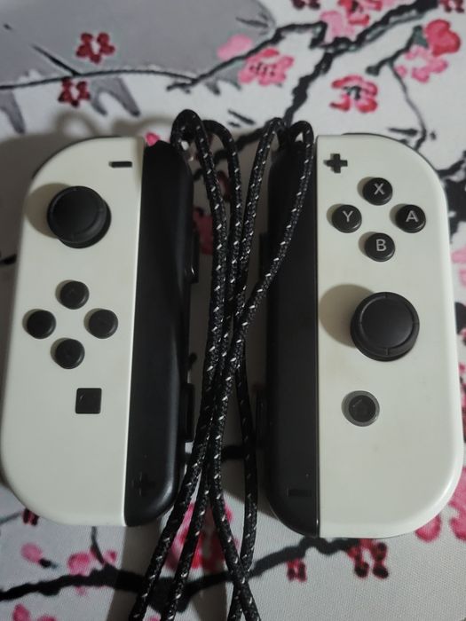 Nintendo Switch Nou