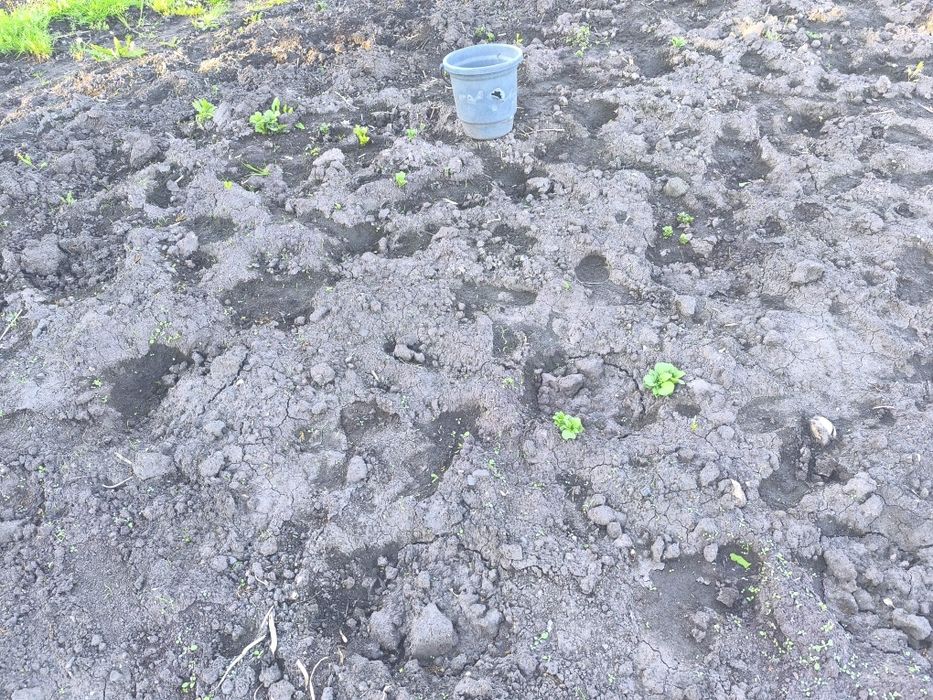 Земля 10 соток в рабочем