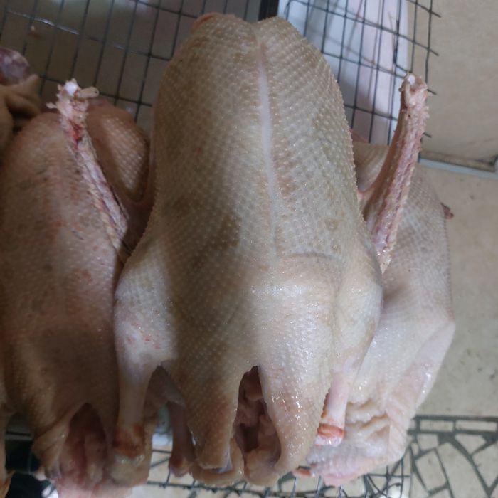 Гуси Индюки Утки Куры