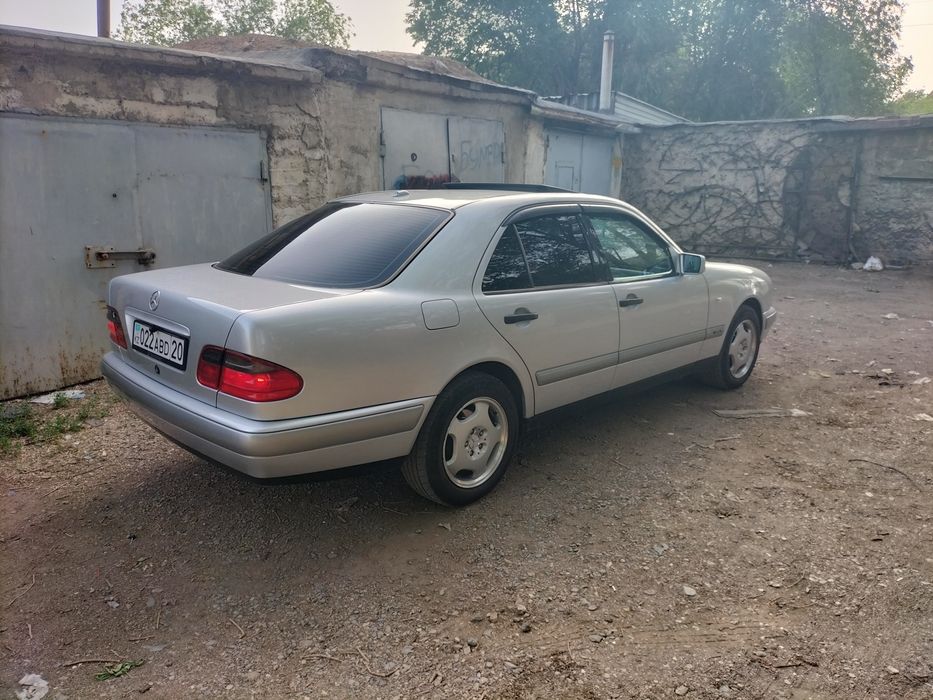 Продам живой Лупарик