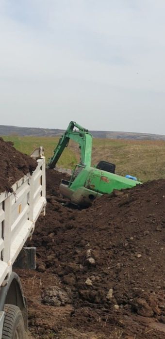 Bălegar.  pământ de pădure. piatră.nisip