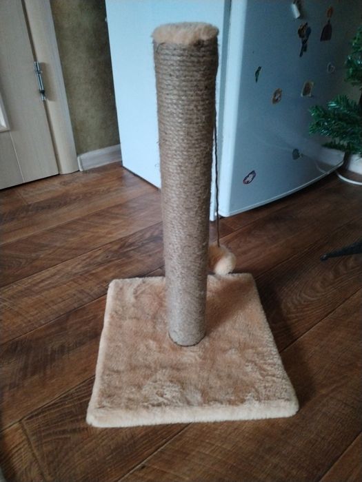 Новая когтеточка