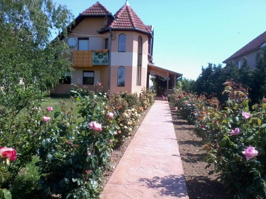 Casă 2 familii / firmă + livadă Satu Mare - Cionchești