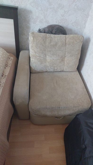 Отдам даром. Бесплатно