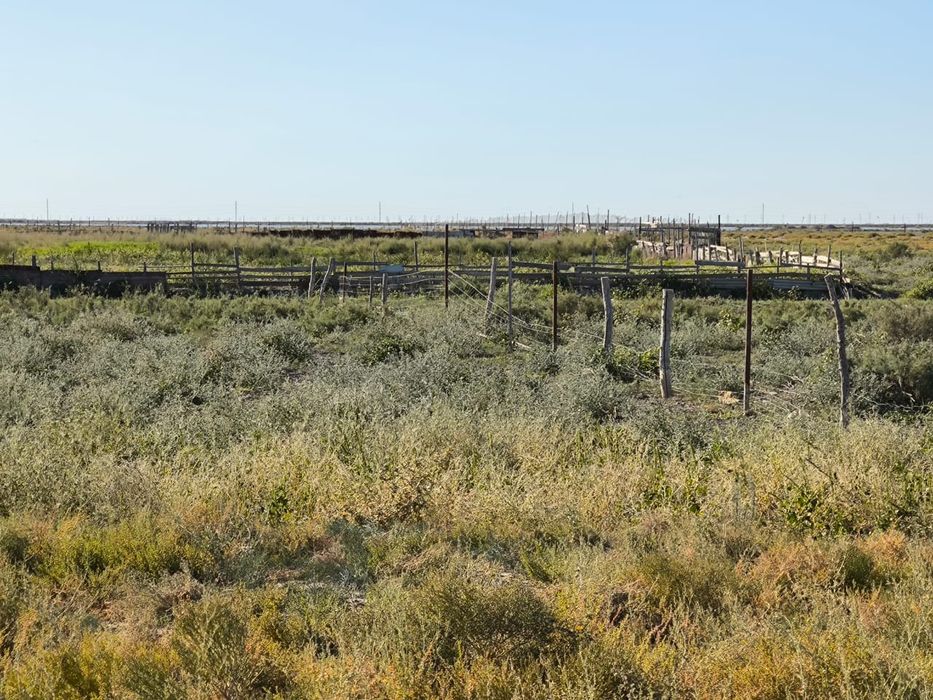 Жер сатылады 3 гектар