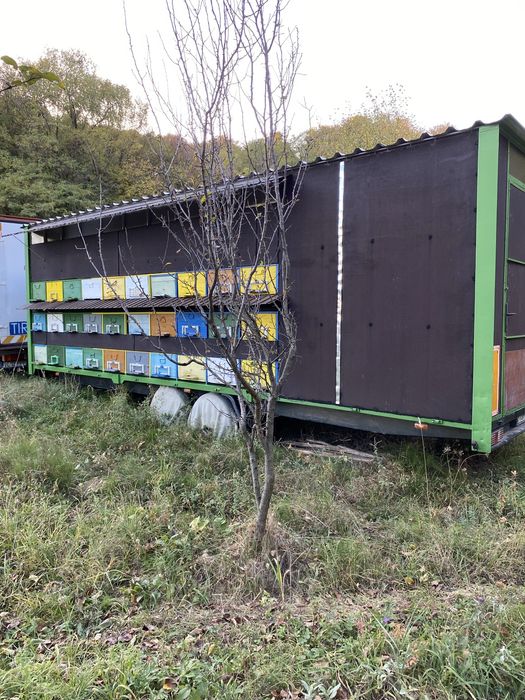 Vând remorcă apicolă, pavilion apicol 60 stupi omologat 3,5T