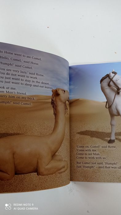 Две книжки на английски