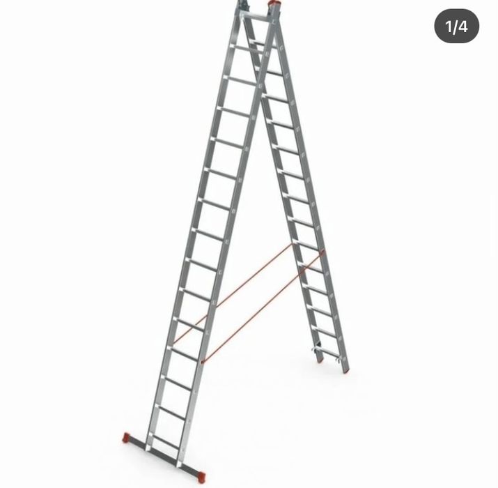 Narvon xar xil turda