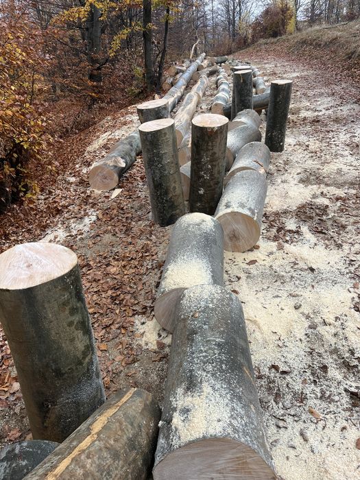 Lemne de foc de vânzare