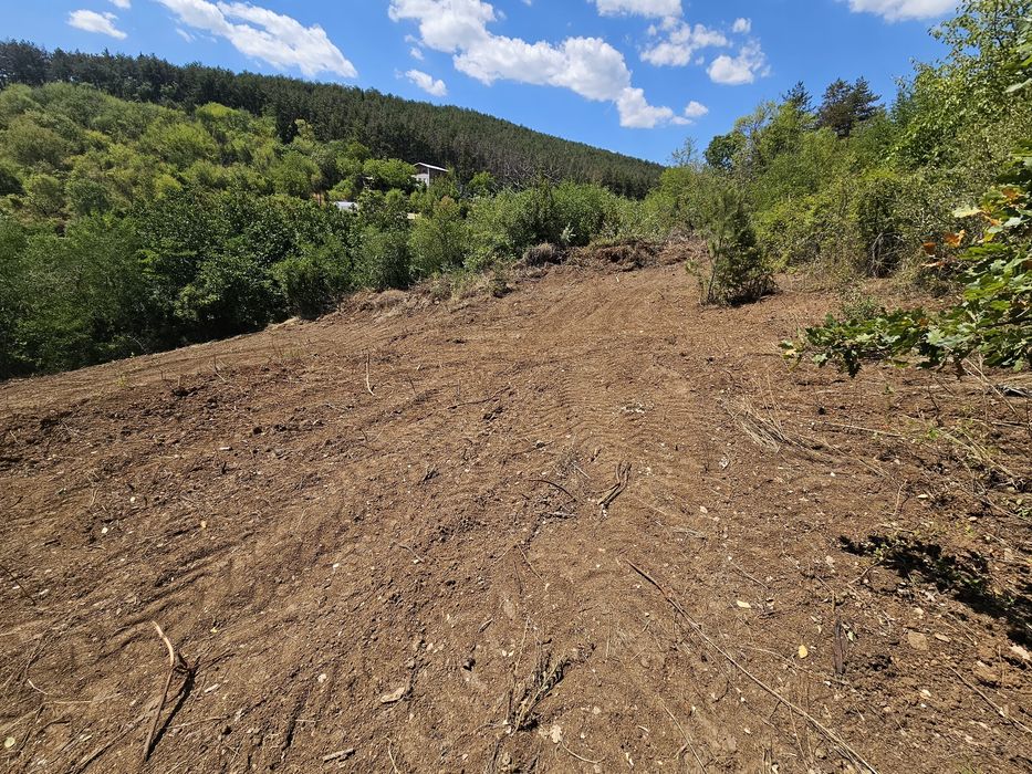 Панорамен парцел