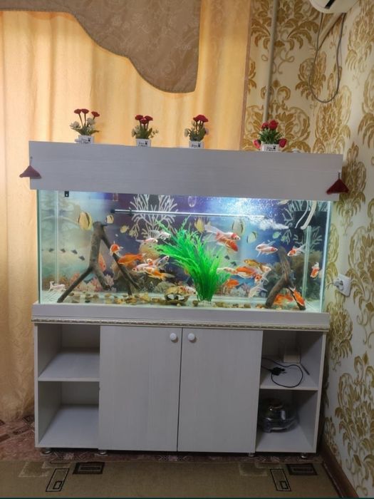 Аквариум большой