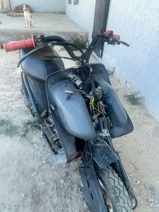 Обмен ештенемен жок