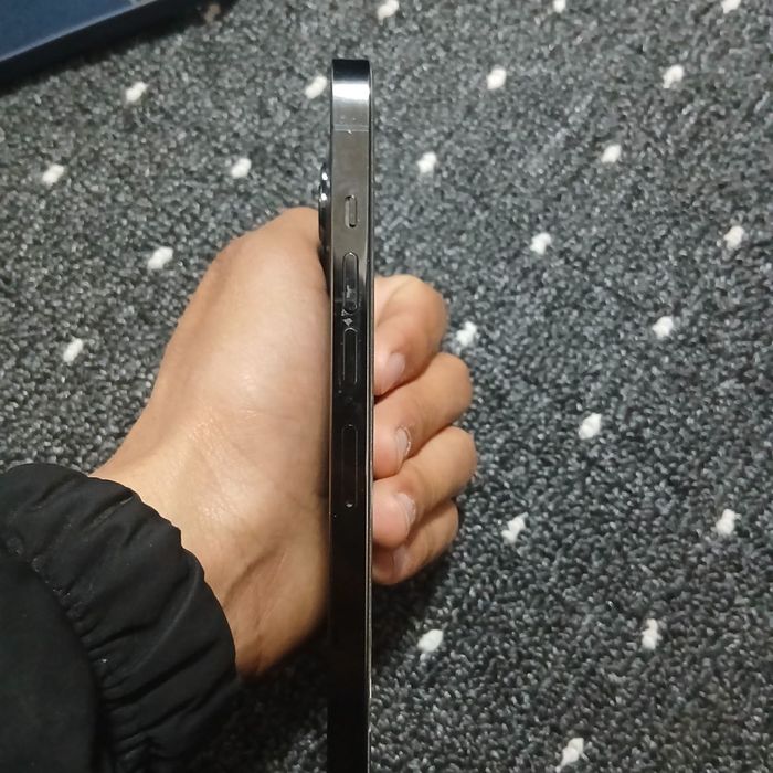 Iphone 13 pro max bor