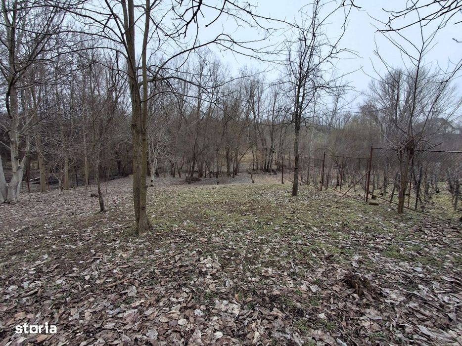 Casa Duplex Malu Mare cu teren generos