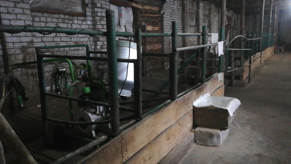 Продам фермерское хозяйство.