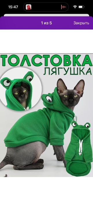 Одежда для котика