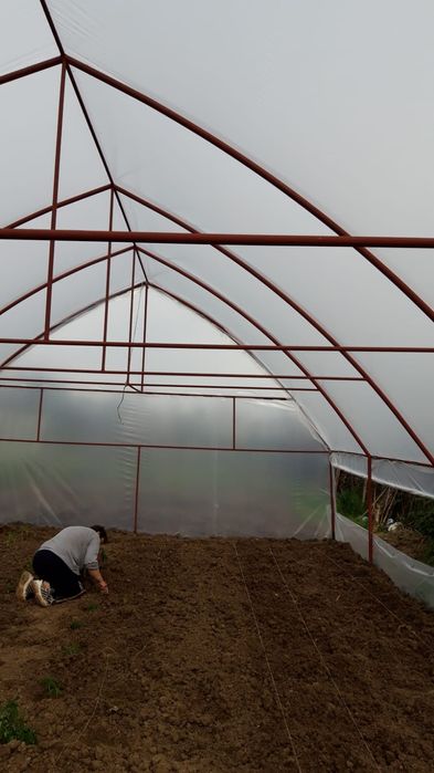 Vand solarii europene