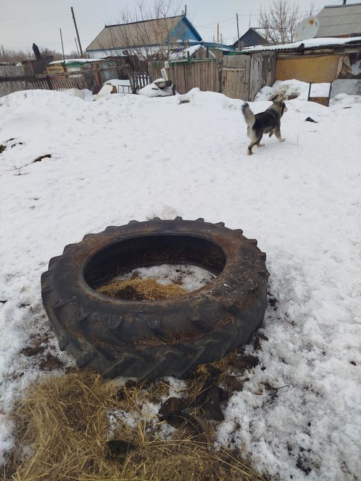 Трактор Т 40 с документами на ходу