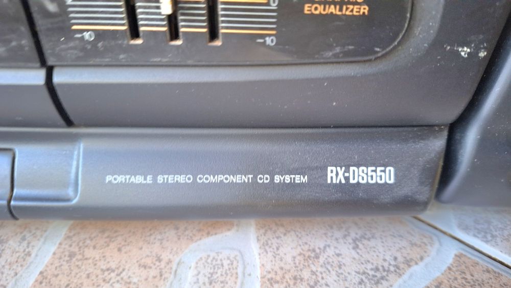 Panasonic  RX DS550