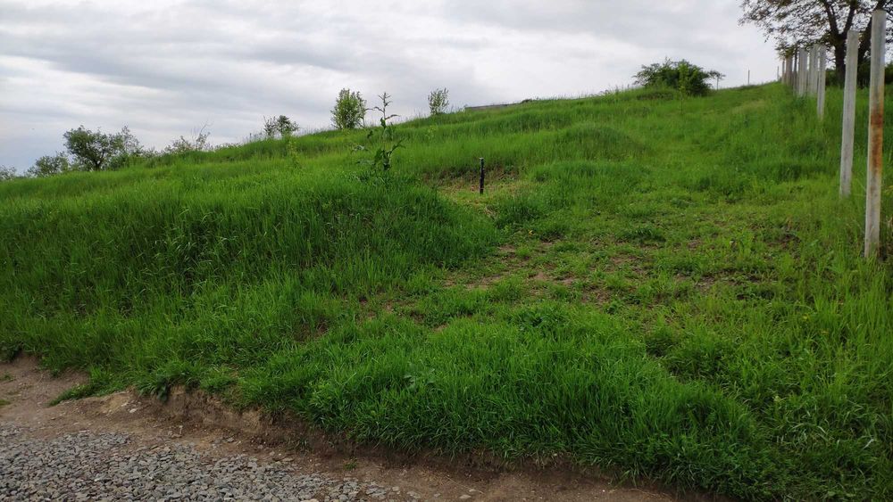 Teren intravilan Suceagu 2506mp, drum asfaltat, utilitati, bus, etc