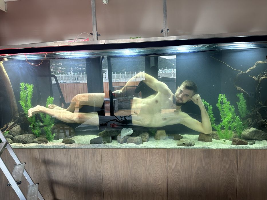 Аквариумы на заказ