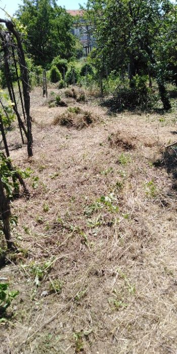 почистване на дворове /дворни места/, извозване на храсти и клониотпад