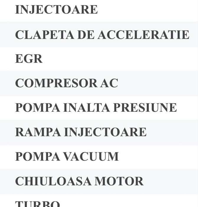 Injectoare 2 buc