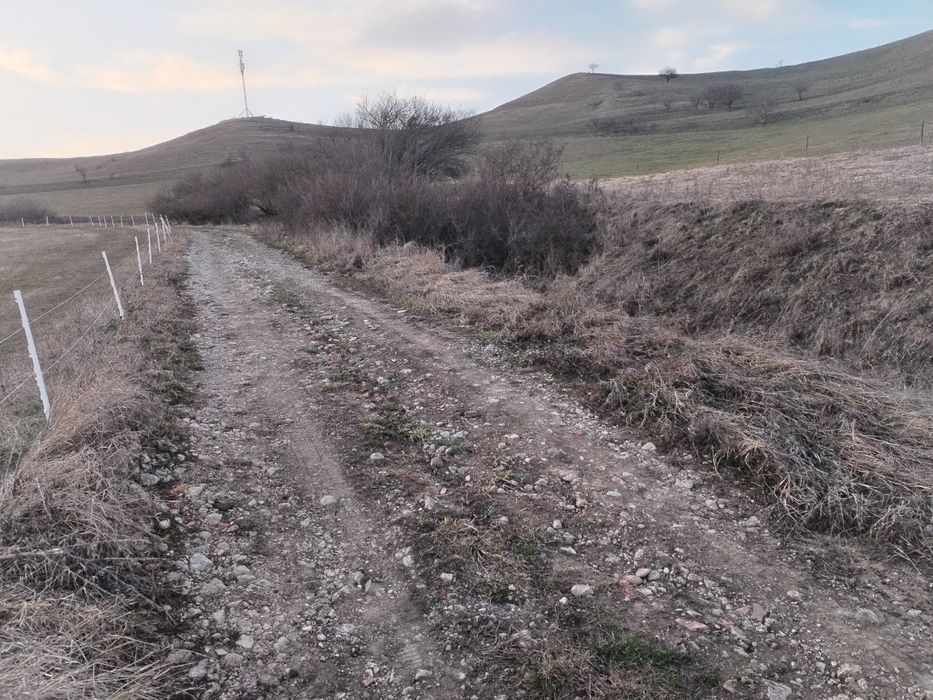 Vând sau Schimb Teren Extravilan