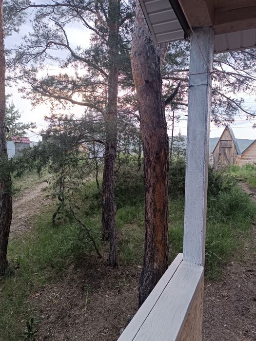 Сдам дома на бухтарме