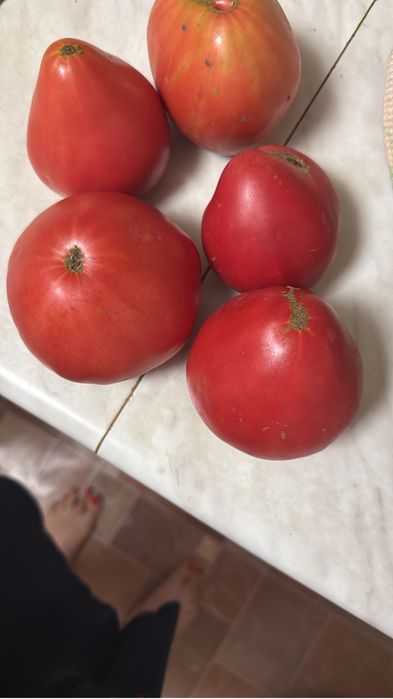 Крупные мясистые помидоры