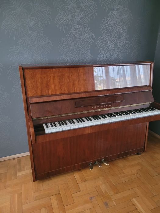 Пияно Чайка / Tchaika