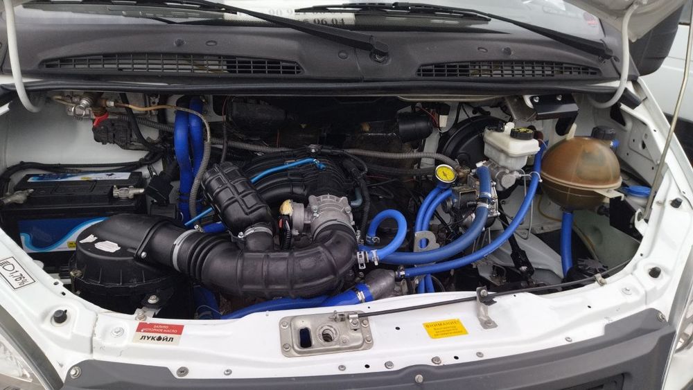 Газел бартавой сотилади