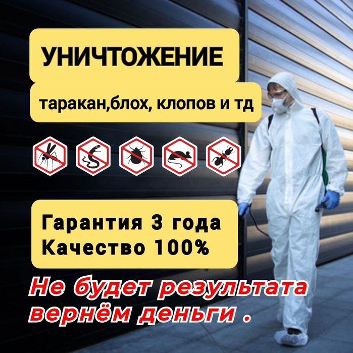 Гарантия качества от клопов и тараканов дезинфекция dizinfeksiya dezin
