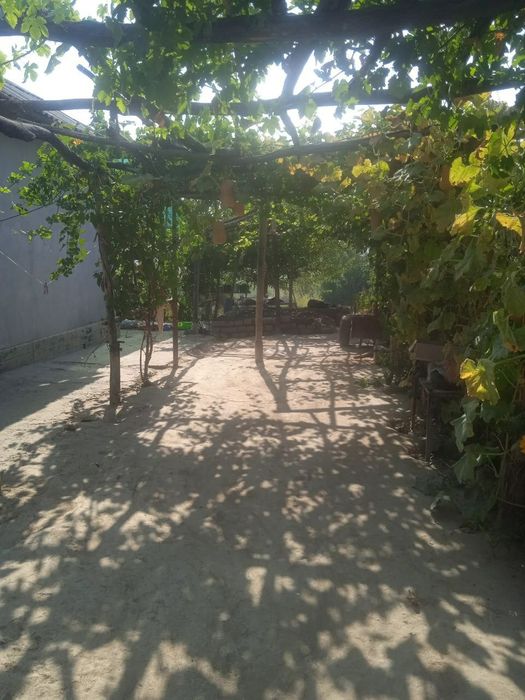 Yangiyoʻl tumani Doʻstlik MFY da joylashgan uy